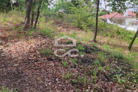 Helårsgrund i Fafe, Braga, Fafe - € 102.000 | Ref: 336/T/01370 - foto 6