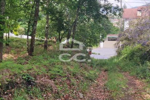 Helårsgrund i Fafe, Braga, Fafe - € 102.000 | Ref: 336/T/01370 - foto 7