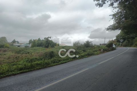 Grond in Serzedelo, Braga, Serzedelo - € 160.000 | Ref: 336/T/01753 - foto 1
