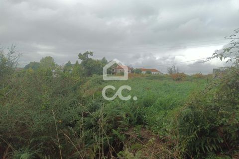 Grond in Serzedelo, Braga, Serzedelo - € 160.000 | Ref: 336/T/01753 - foto 3