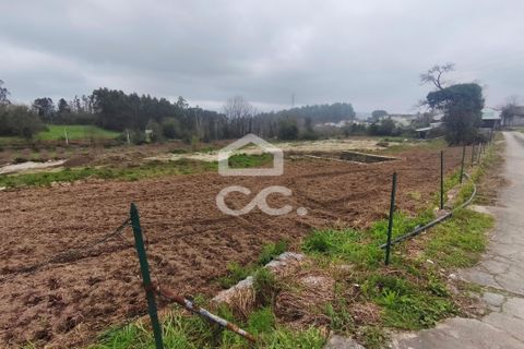 Grond in Serzedelo, Braga, Serzedelo - € 160.000 | Ref: 336/T/01753 - foto 5