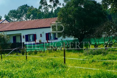 Farm i Moita, Setubal, Moita - € 1.190.000 | Ref: MAS_256 - foto 25