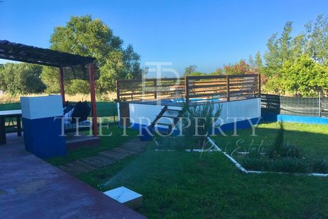 Farm i Moita, Setubal, Moita - € 1.190.000 | Ref: MAS_256 - foto 32