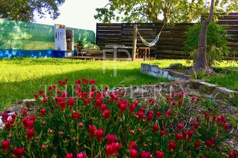 Farm i Moita, Setubal, Moita - € 1.190.000 | Ref: MAS_256 - foto 36