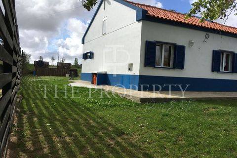 Farm i Moita, Setubal, Moita - € 1.190.000 | Ref: MAS_256 - foto 41