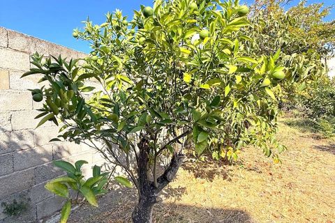 Villa i Perfugas, Sassari, Perfugas - € 129.000 | Ref: PER-MAZZ-FO - foto 41