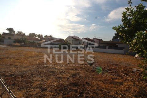 Helårsgrund i Quinta do Conde, Setubal, Quinta do Conde - € 105.000 | Ref: TN475/25 - foto 4