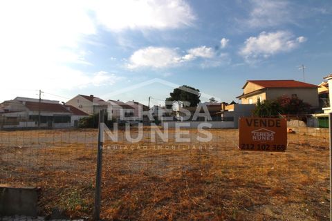Helårsgrund i Quinta do Conde, Setubal, Quinta do Conde - € 105.000 | Ref: TN475/25 - foto 6