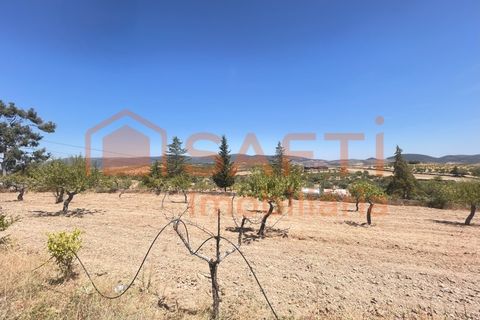 Villa i Torre de Moncorvo, Braganca, Torre de Moncorvo - € 320.000 | Ref: SAFTI:007066 - foto 23