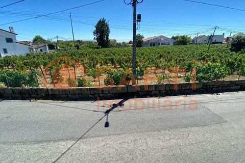 Villa i Tondela, Viseu, Tondela - € 17.000 | Ref: SAFTI:007053 - foto 37