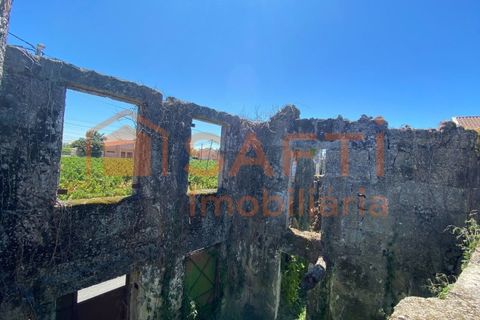 Villa i Tondela, Viseu, Tondela - € 17.000 | Ref: SAFTI:007053 - foto 43