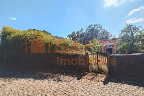 Villa a Alvaiazere, Leiria, Alvaiazere - € 70.000 | Ref: SAFTI:006997 - foto 6