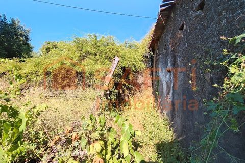 Villa a Alvaiazere, Leiria, Alvaiazere - € 70.000 | Ref: SAFTI:006997 - foto 33