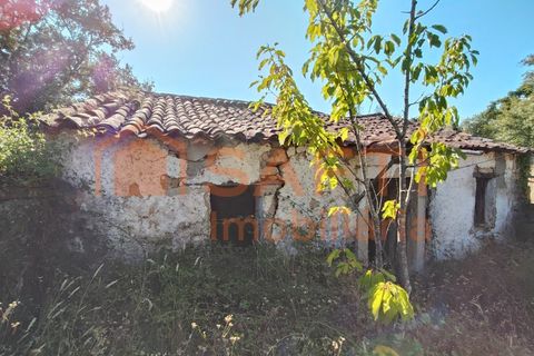 Villa a Alvaiazere, Leiria, Alvaiazere - € 70.000 | Ref: SAFTI:006997 - foto 34