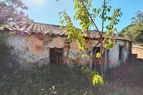 Villa a Alvaiazere, Leiria, Alvaiazere - € 70.000 | Ref: SAFTI:006997 - foto 38