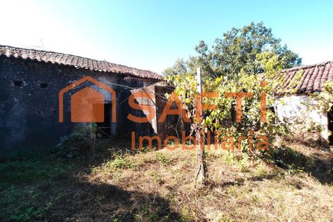 Villa a Alvaiazere, Leiria, Alvaiazere - € 70.000 | Ref: SAFTI:006997 - foto 31