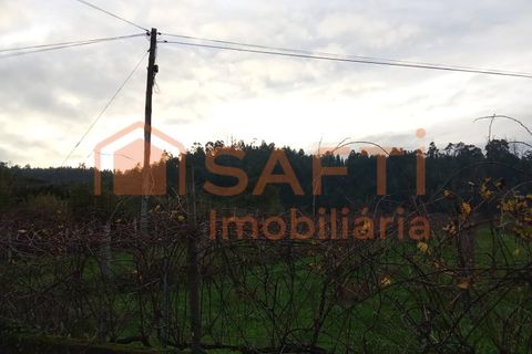 Farm i Bela, Viana do Castelo, Bela - € 55.000 | Ref: SAFTI:007075 - foto 7