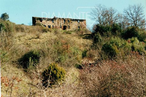 Farm i Acquapendente, Viterbo, Acquapendente - € 450.000 | Ref: AZ375 - foto 2