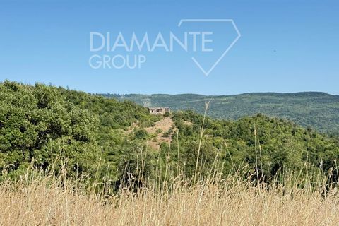 Farm i Acquapendente, Viterbo, Acquapendente - € 450.000 | Ref: AZ375 - foto 5