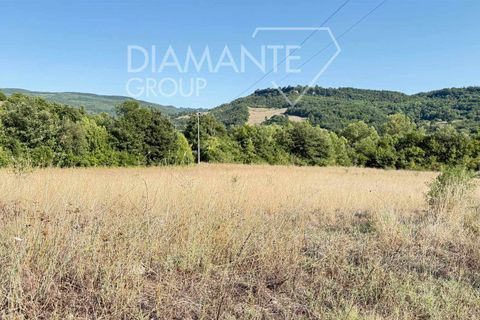 Farm i Acquapendente, Viterbo, Acquapendente - € 450.000 | Ref: AZ375 - foto 9