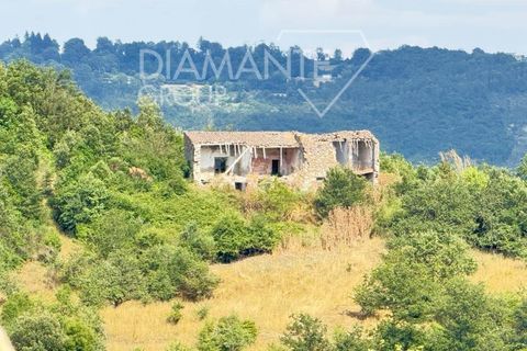 Farm i Acquapendente, Viterbo, Acquapendente - € 450.000 | Ref: AZ375 - foto 10