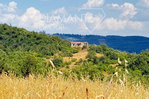 Farm i Acquapendente, Viterbo, Acquapendente - € 450.000 | Ref: AZ375 - foto 11