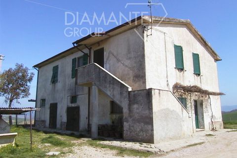 Farm i Cinigiano, Grosseto, Cinigiano - € 390.000 | Ref: AZ07 - foto 1