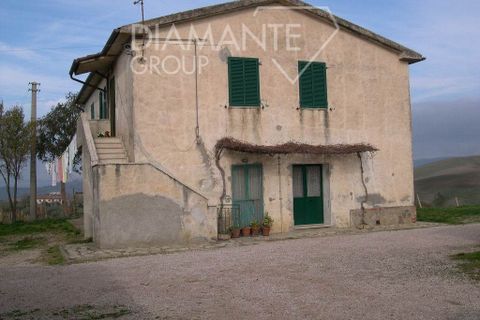 Farm i Cinigiano, Grosseto, Cinigiano - € 390.000 | Ref: AZ07 - foto 2
