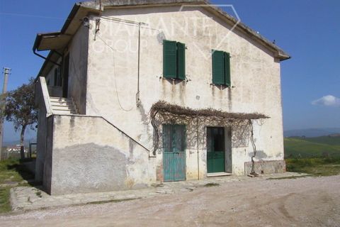 Farm i Cinigiano, Grosseto, Cinigiano - € 390.000 | Ref: AZ07 - foto 3