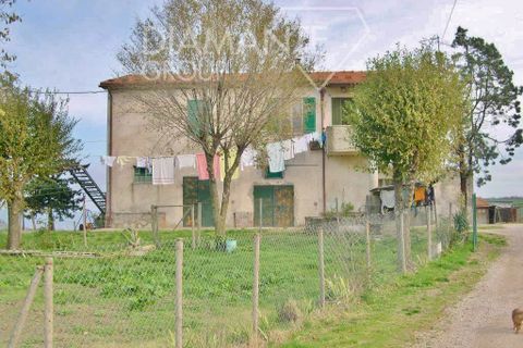 Farm i Cinigiano, Grosseto, Cinigiano - € 390.000 | Ref: AZ07 - foto 4