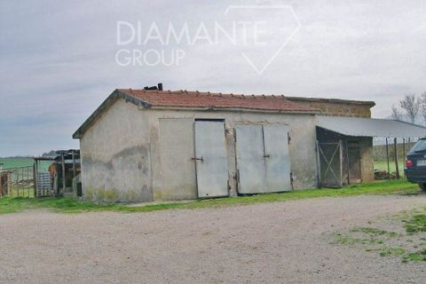 Farm i Cinigiano, Grosseto, Cinigiano - € 390.000 | Ref: AZ07 - foto 8