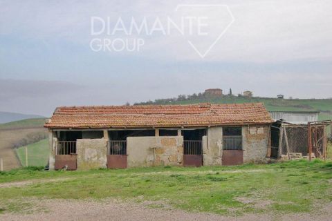 Farm i Cinigiano, Grosseto, Cinigiano - € 390.000 | Ref: AZ07 - foto 9