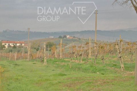Farm i Cinigiano, Grosseto, Cinigiano - € 390.000 | Ref: AZ07 - foto 10