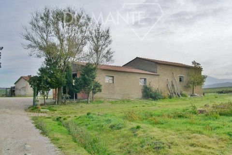Farm i Cinigiano, Grosseto, Cinigiano - € 390.000 | Ref: AZ07 - foto 11