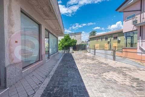 Erhvervsejendom i Ceprano, Frosinone, Ceprano - € 110.000 | Ref: AC99-149-1657 - foto 6