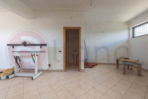Erhvervsejendom i Ceprano, Frosinone, Ceprano - € 110.000 | Ref: AC99-149-1657 - foto 12