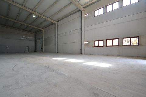 Erhvervsejendom i Deltebre, Tarragona, Deltebre - € 380.000 | Ref: FZD28/6931 - foto 3