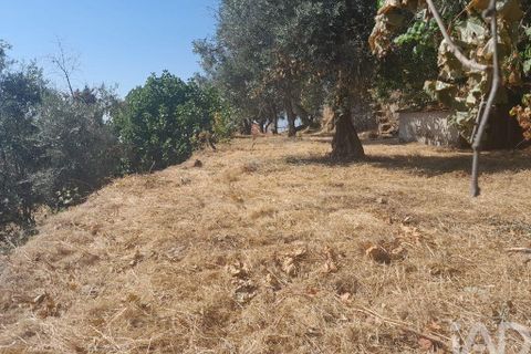 Byhus i Covilha, Castelo Branco, Covilha - € 120.000 | Ref: 147203 - foto 5