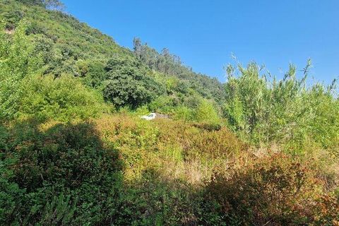 Helårsgrund i Mafra, Lisbon, Mafra - € 55.000 | Ref: 147077 - foto 5