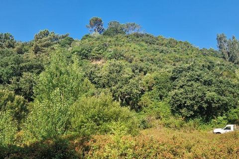 Helårsgrund i Mafra, Lisbon, Mafra - € 55.000 | Ref: 147077 - foto 6