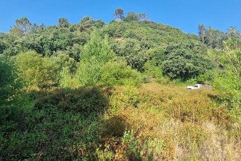 Helårsgrund i Mafra, Lisbon, Mafra - € 55.000 | Ref: 147077 - foto 7