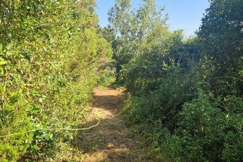 Helårsgrund i Mafra, Lisbon, Mafra - € 55.000 | Ref: 147077 - foto 10