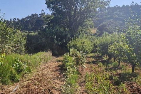 Helårsgrund i Mafra, Lisbon, Mafra - € 55.000 | Ref: 147077 - foto 11
