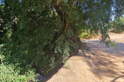 Helårsgrund i Mafra, Lisbon, Mafra - € 55.000 | Ref: 147077 - foto 12