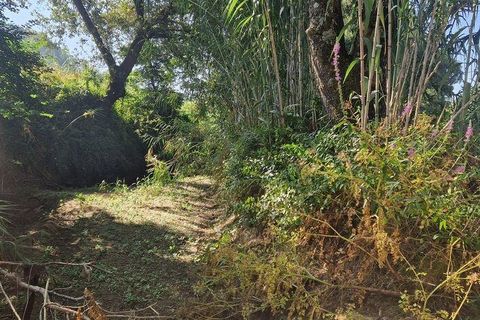 Helårsgrund i Mafra, Lisbon, Mafra - € 55.000 | Ref: 147077 - foto 13