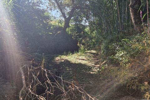Helårsgrund i Mafra, Lisbon, Mafra - € 55.000 | Ref: 147077 - foto 14