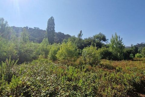 Helårsgrund i Mafra, Lisbon, Mafra - € 55.000 | Ref: 147077 - foto 15