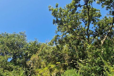 Helårsgrund i Mafra, Lisbon, Mafra - € 55.000 | Ref: 147077 - foto 16