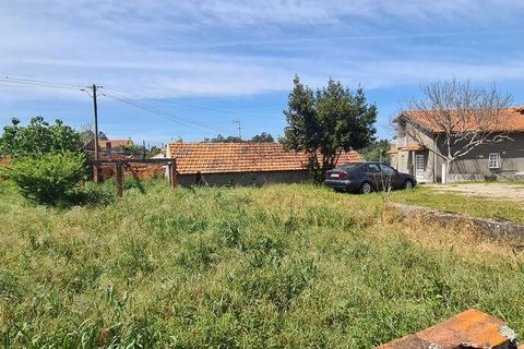 Helårsgrund i Vagos, Aveiro, Vagos - € 65.000 | Ref: 147058 - foto 3