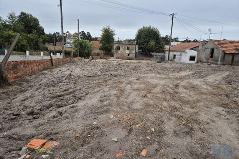Helårsgrund i Vagos, Aveiro, Vagos - € 65.000 | Ref: 147058 - foto 6